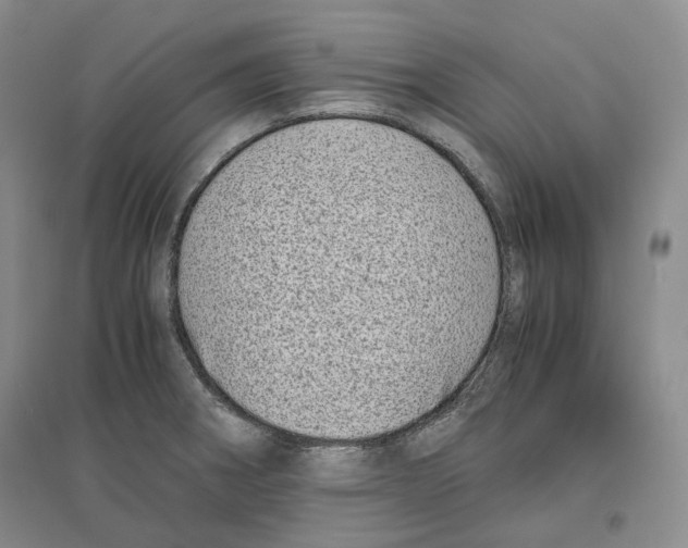 X0000096421282200802211115
