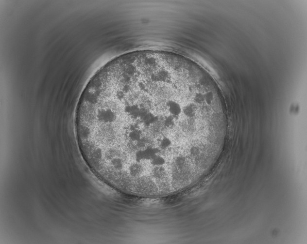 X0000096421283200802211115