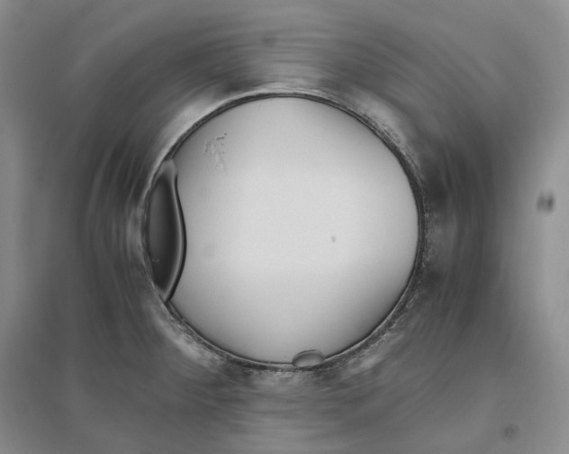 X0000096421284200802211115