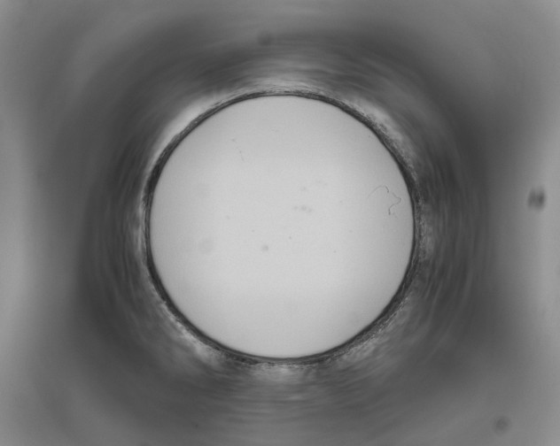 X0000096421286200802211115
