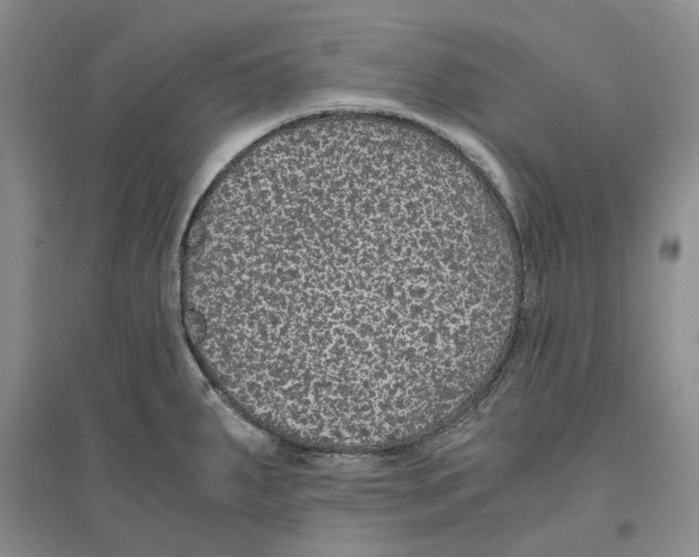 X0000096421287200802211115