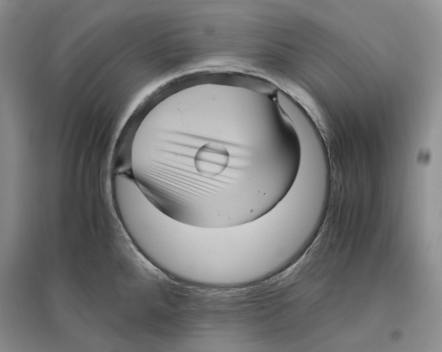 X0000096421288200802211115