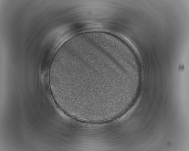 X0000096421289200802211115