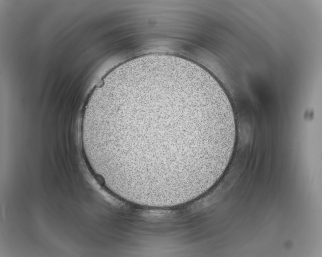 X0000096421290200802211115