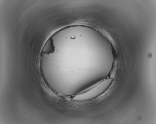 X0000096421292200802211115