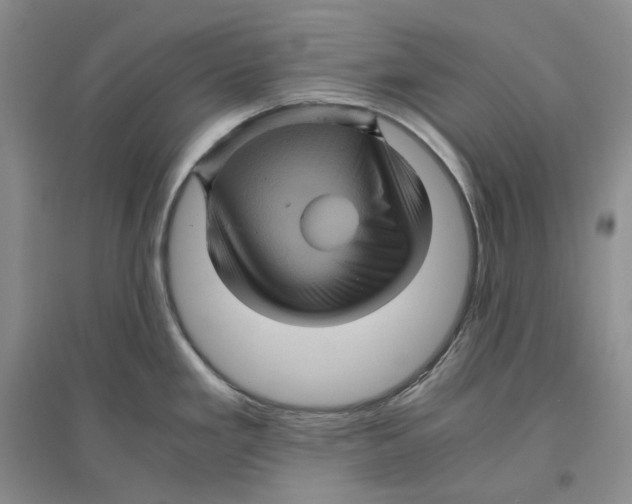X0000096421293200802211115