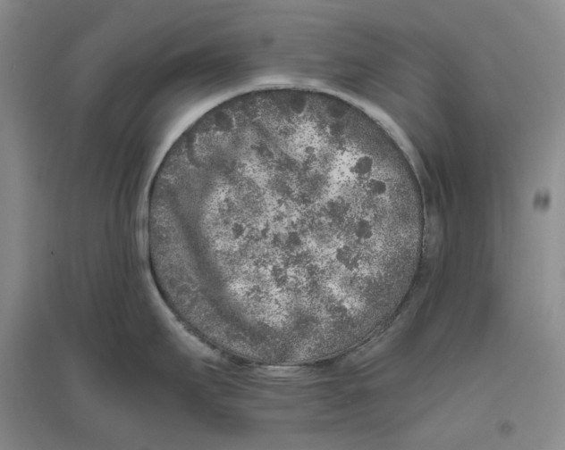 X0000096421295200802211115