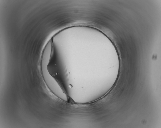 X0000096421296200802211115