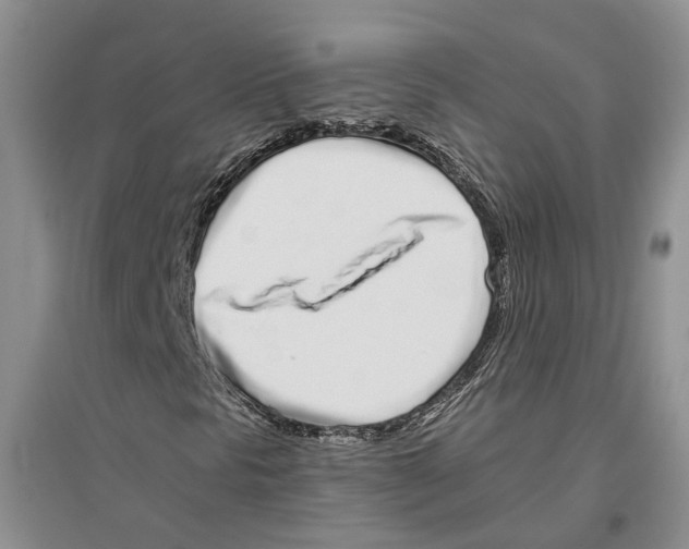 X0000096421297200802211114
