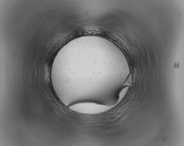 X0000096421298200802211114