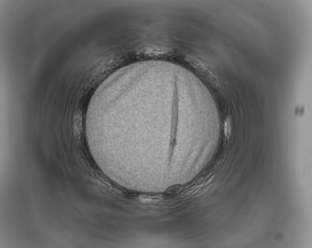 X0000096421299200802211114