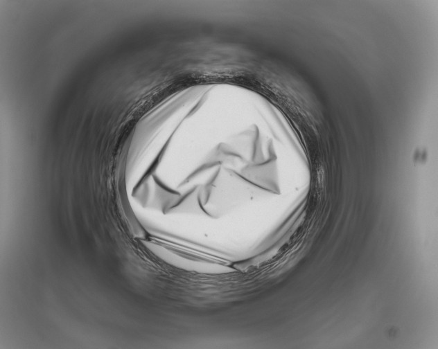 X0000096421300200802211114