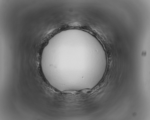 X0000096421301200802211114