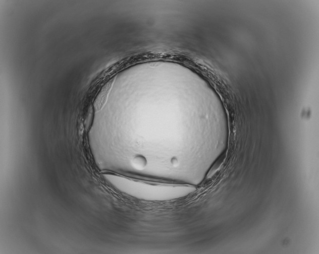 X0000096421302200802211114
