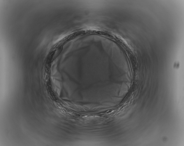 X0000096421303200802211114