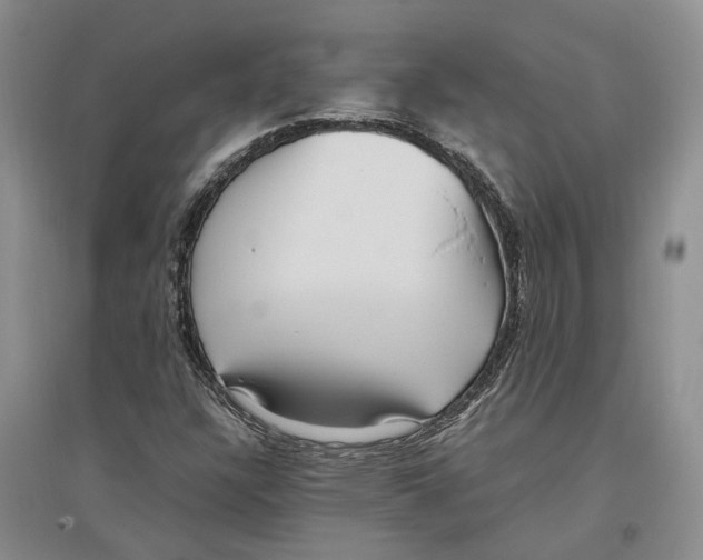 X0000096421304200802211114