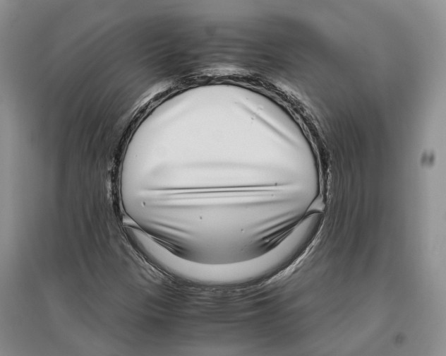 X0000096421305200802211114