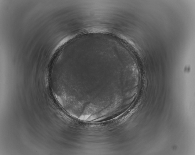 X0000096421306200802211114