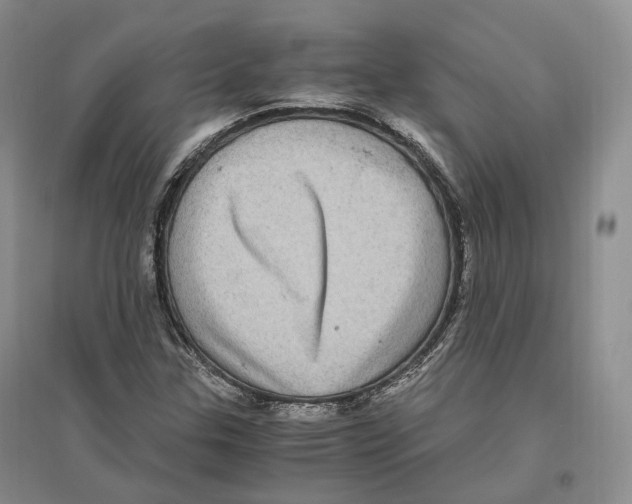 X0000096421307200802211114