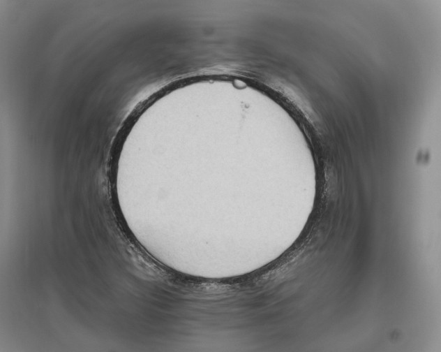 X0000096421308200802211114