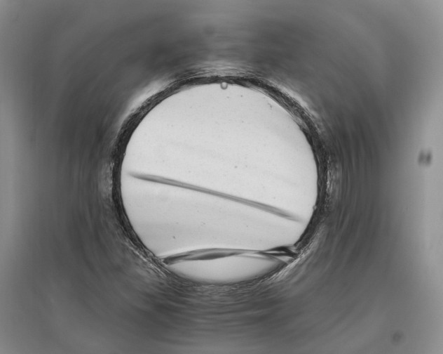 X0000096421309200802211114