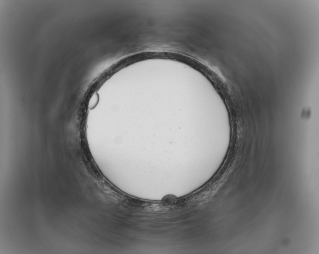 X0000096421311200802211114