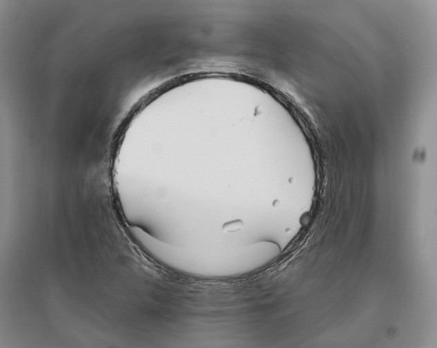 X0000096421312200802211114