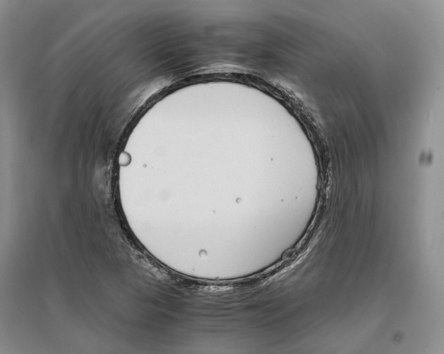 X0000096421313200802211114