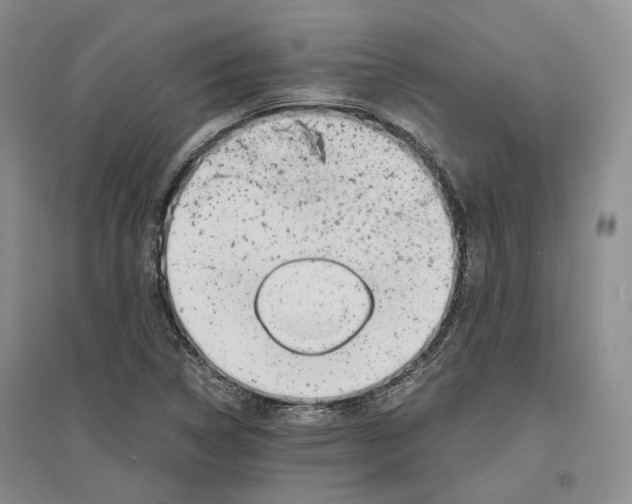 X0000096421314200802211114