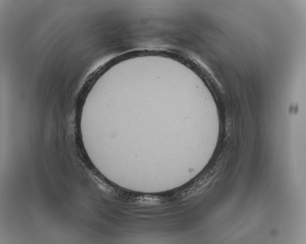 X0000096421315200802211115