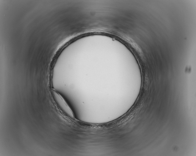 X0000096421316200802211115