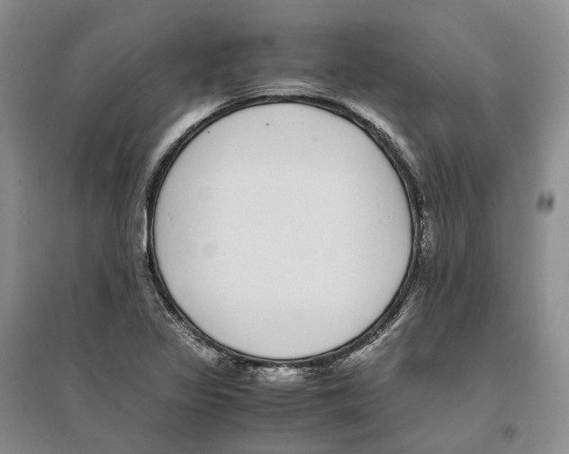 X0000096421317200802211115