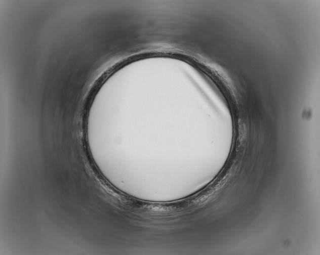 X0000096421318200802211115
