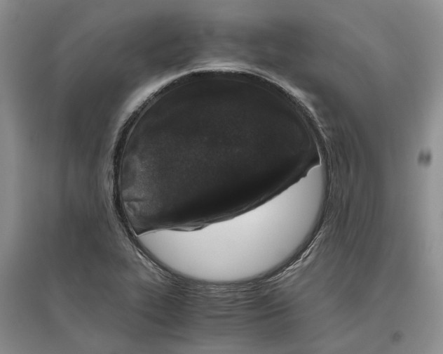 X0000096421319200802211115
