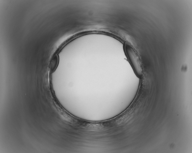 X0000096421320200802211115