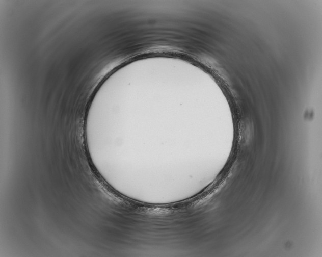 X0000096421321200802211115