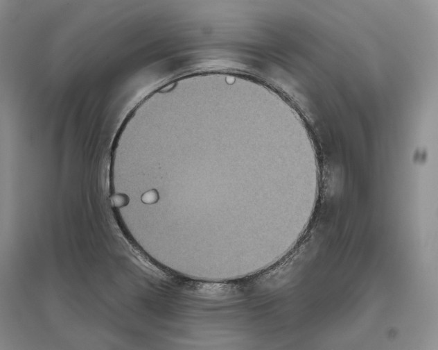 X0000096421322200802211115