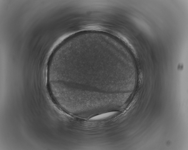 X0000096421323200802211115