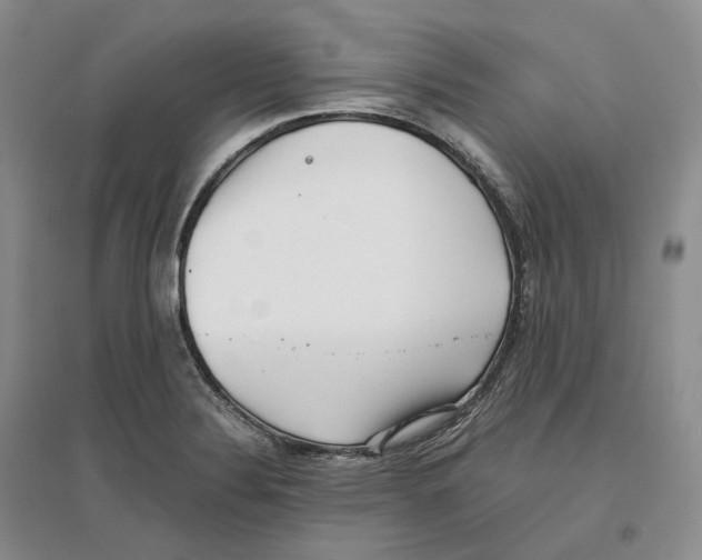 X0000096421324200802211115