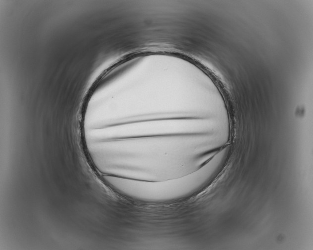 X0000096421325200802211115