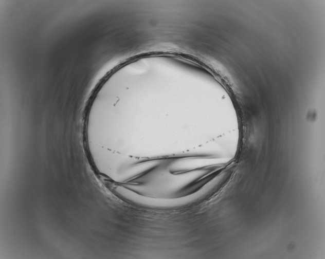 X0000096421326200802211115