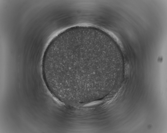 X0000096421327200802211115