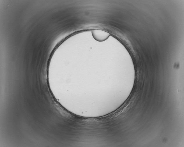 X0000096421328200802211115