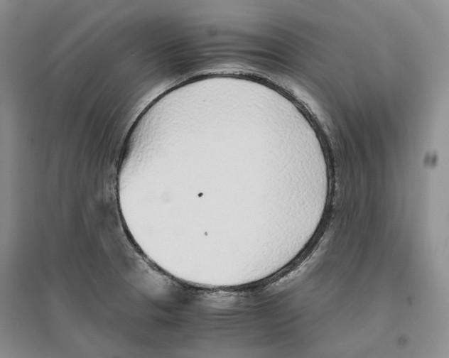 X0000096421329200802211115