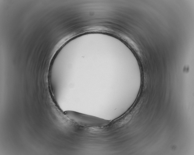 X0000096421330200802211115