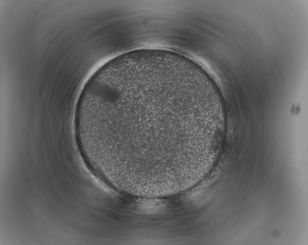 X0000096421331200802211115