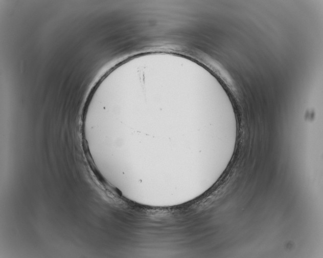 X0000096421332200802211115