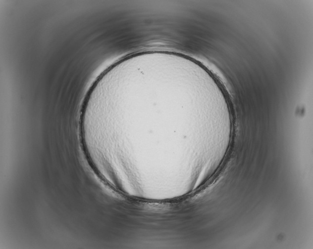 X0000096421333200802211115