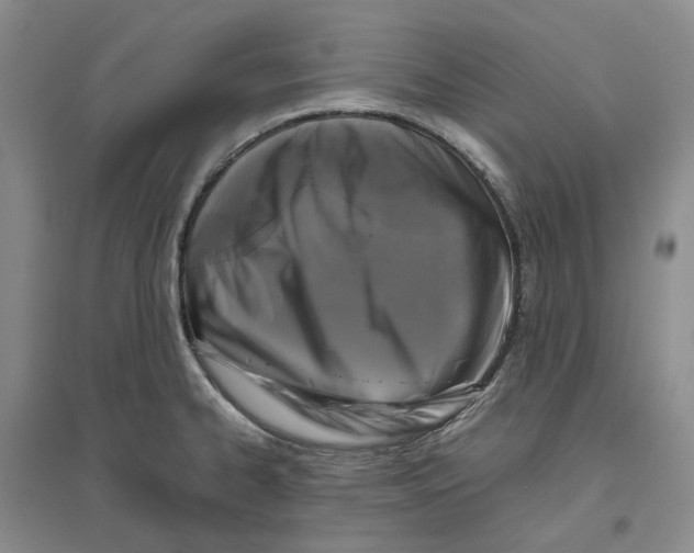 X0000096421334200802211115