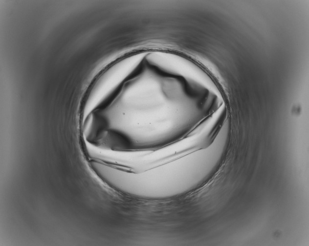 X0000096421335200802211115